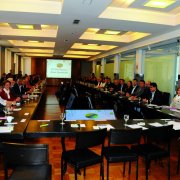 Reunião da Comissão Organizadora do IV EMDS